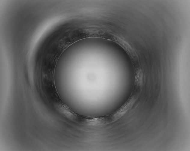 X0000113240430200909101412