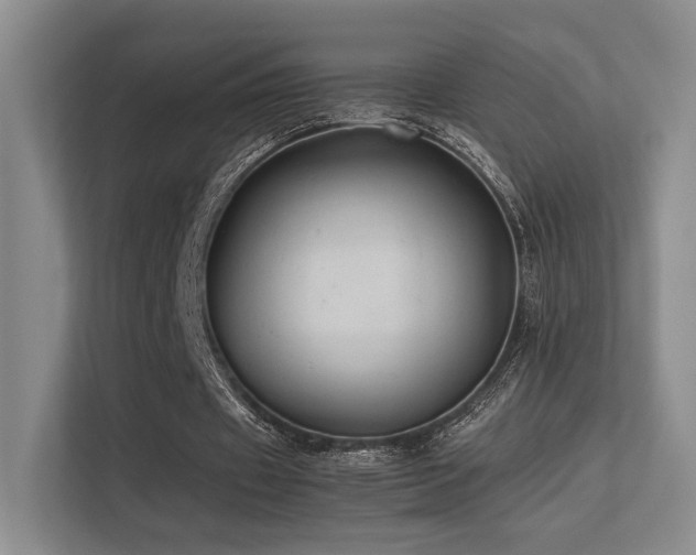 X0000113240433200909101411