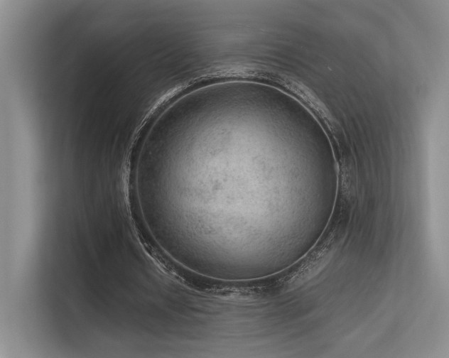 X0000113240434200909101411