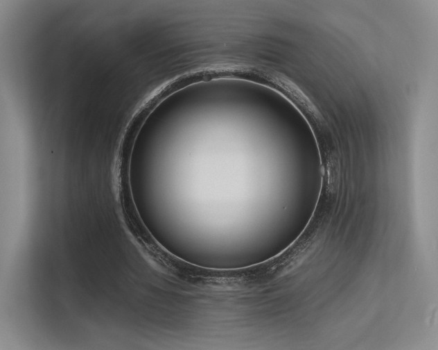 X0000113240436200909101411