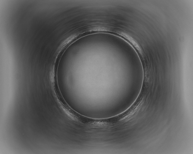 X0000113240437200909101411