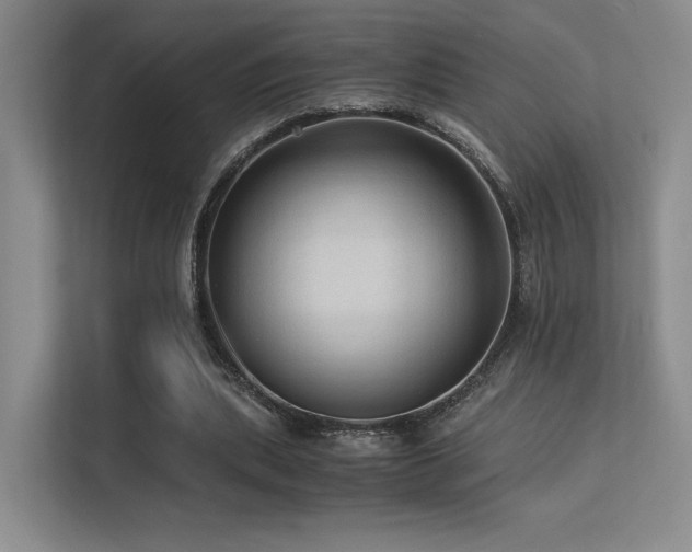 X0000113240439200909101411