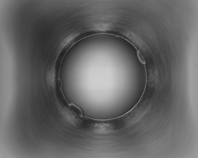 X0000113240440200909101411