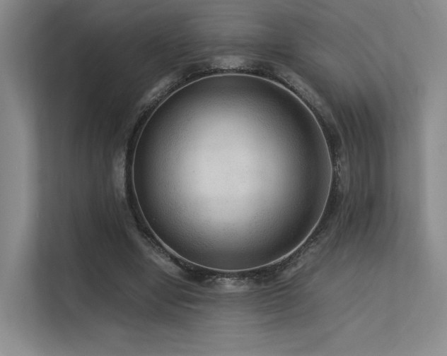 X0000113240442200909101411