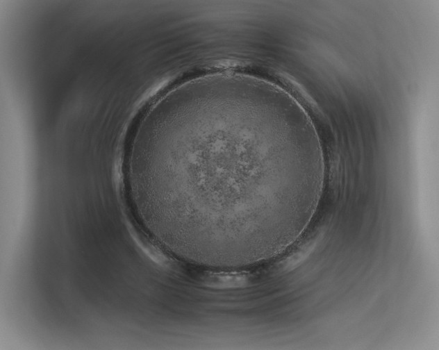 X0000113240443200909101411