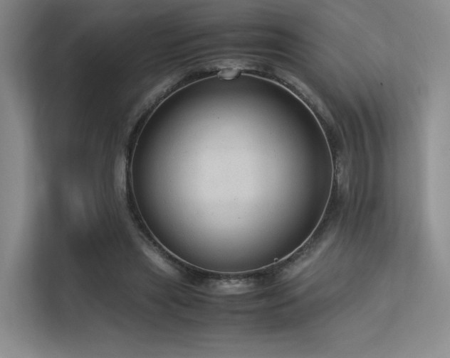 X0000113240445200909101411