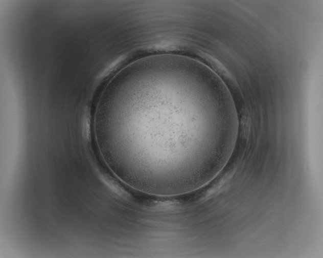 X0000113240446200909101411