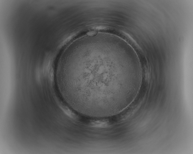 X0000113240447200909101411