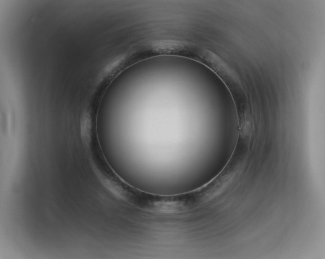 X0000113240448200909101411