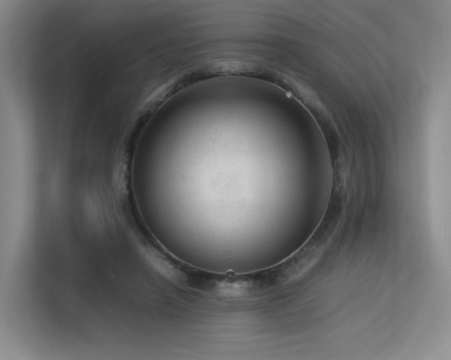 X0000113240450200909101411