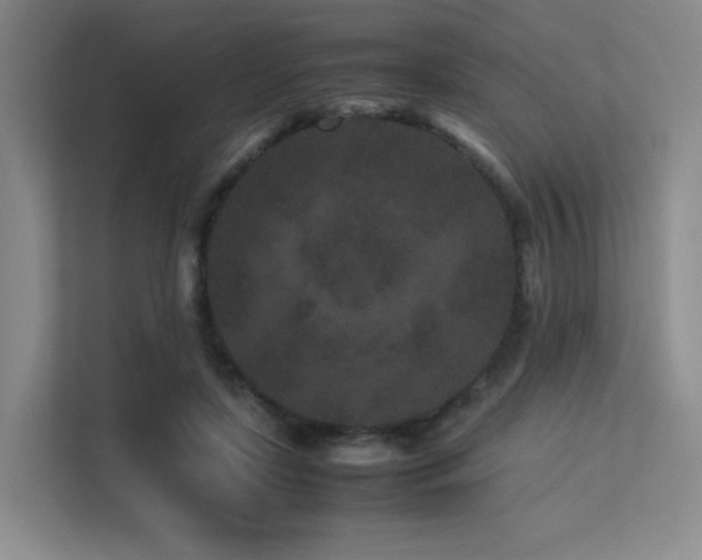 X0000113240451200909101411