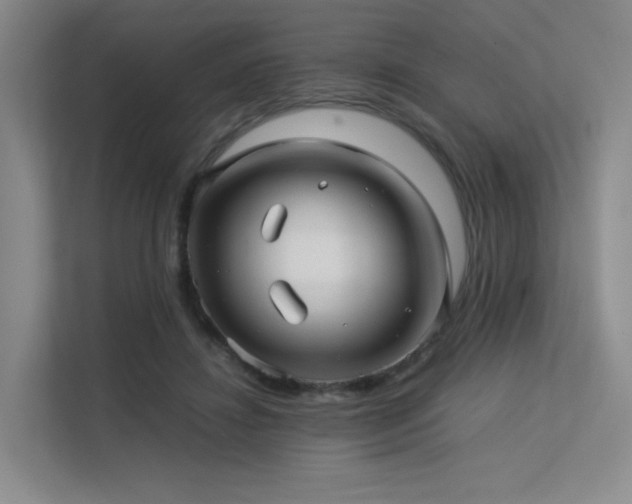 X0000113240452200909101411