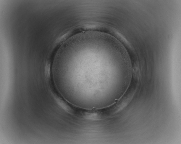 X0000113240454200909101411