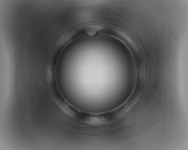 X0000113240455200909101411