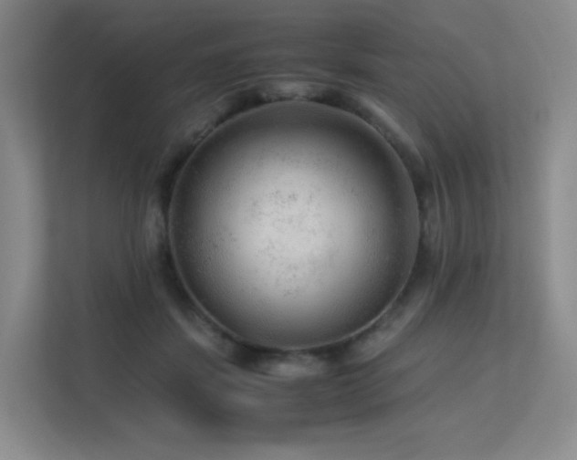 X0000113240459200909101412