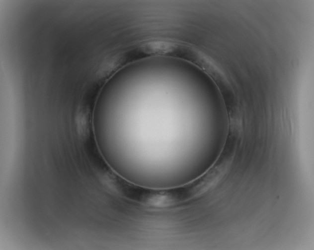 X0000113240460200909101412