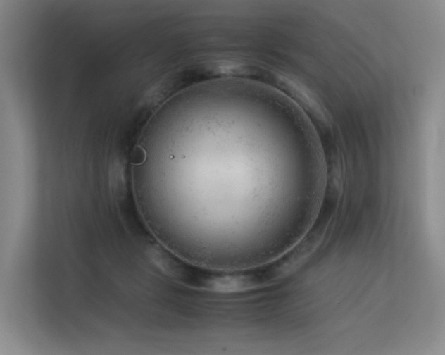 X0000113240461200909101412