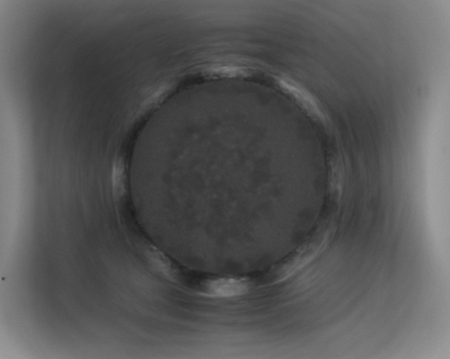 X0000113240465200909101412