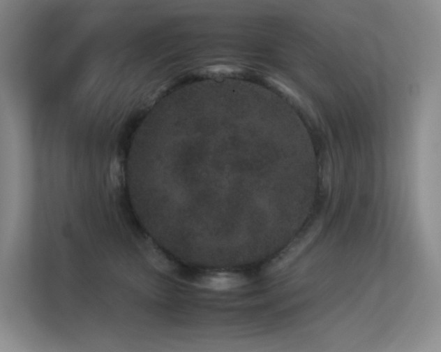 X0000113240467200909101412