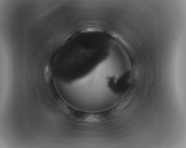 X0000113240471200909101412