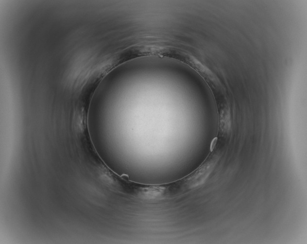 X0000113240474200909101412