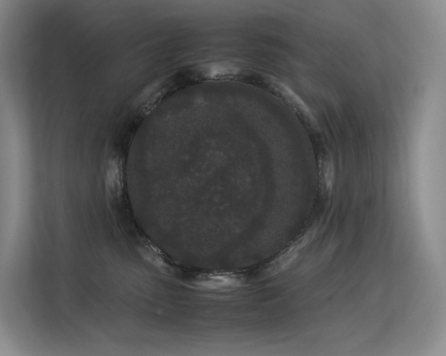 X0000113240475200909101412