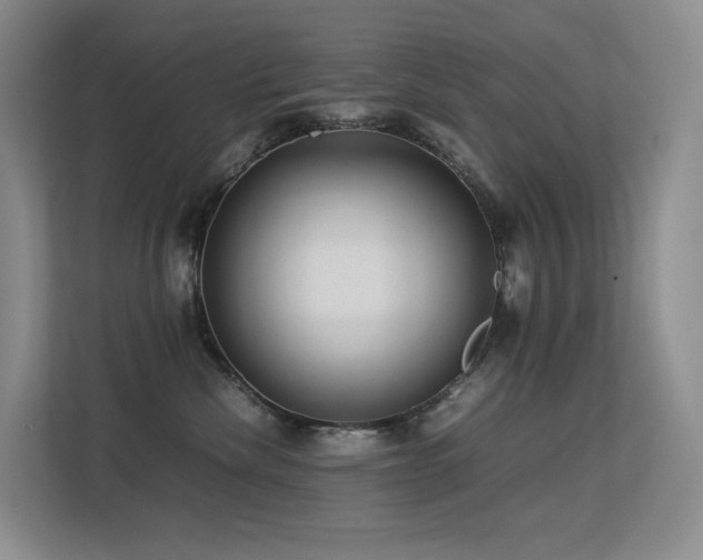 X0000113240476200909101412