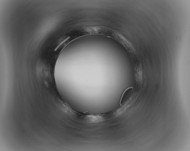 X0000113240477200909101412