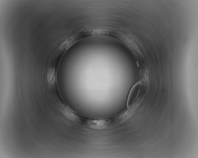 X0000113240478200909101412