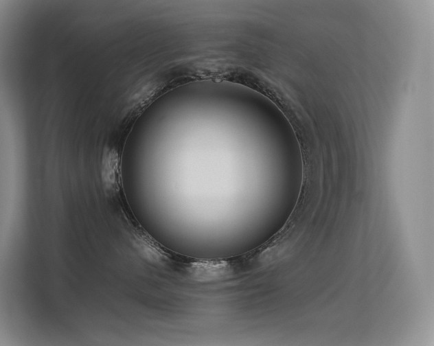 X0000113240480200909101412