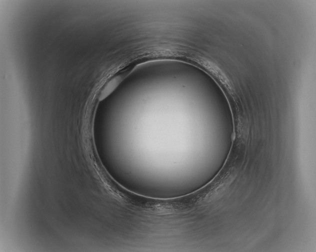 X0000113240481200909101411