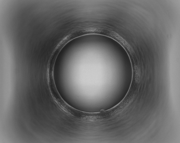 X0000113240482200909101411