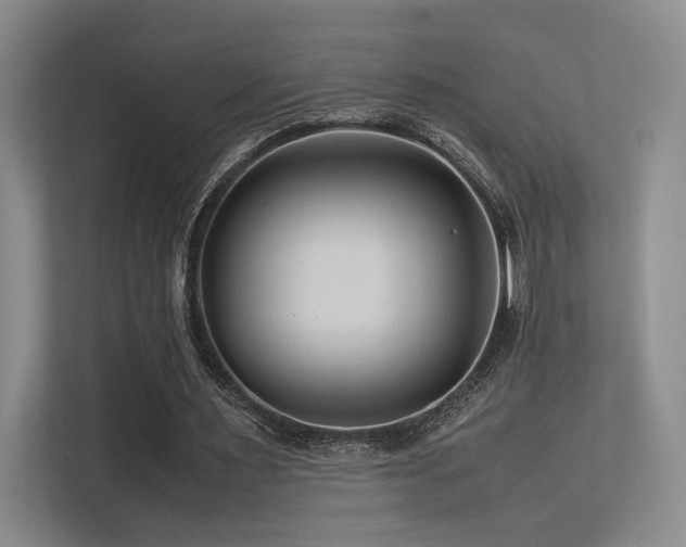 X0000113240483200909101411