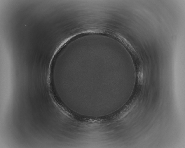 X0000113240484200909101411