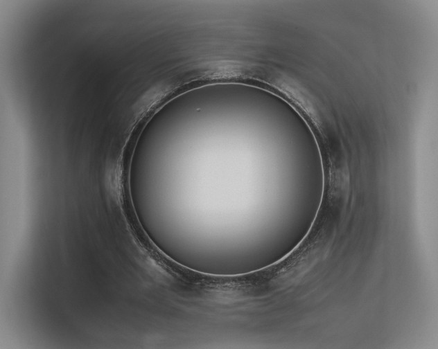 X0000113240485200909101411