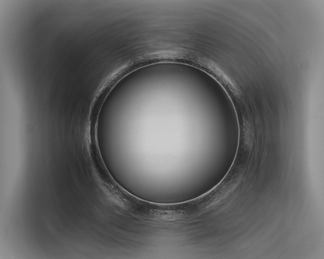 X0000113240486200909101411