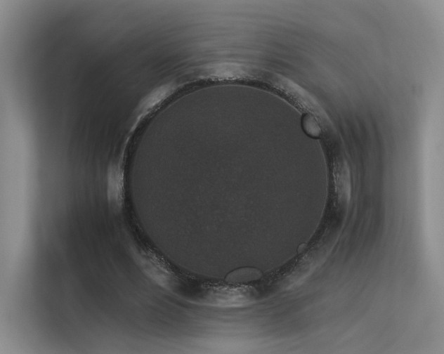 X0000113240488200909101411