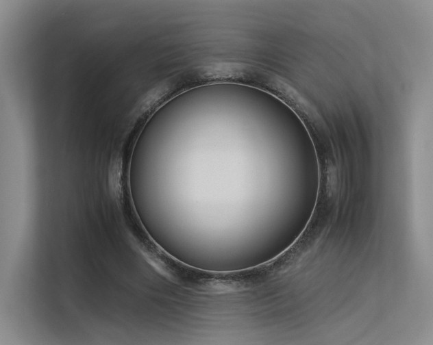 X0000113240490200909101411