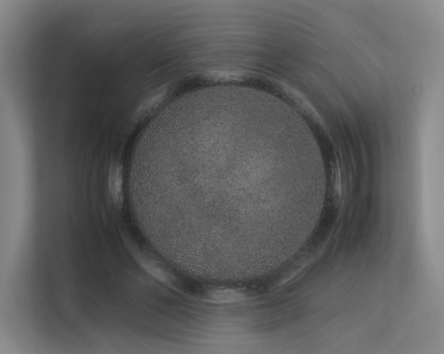 X0000113240494200909101411