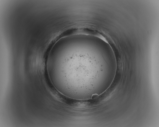 X0000113240495200909101411