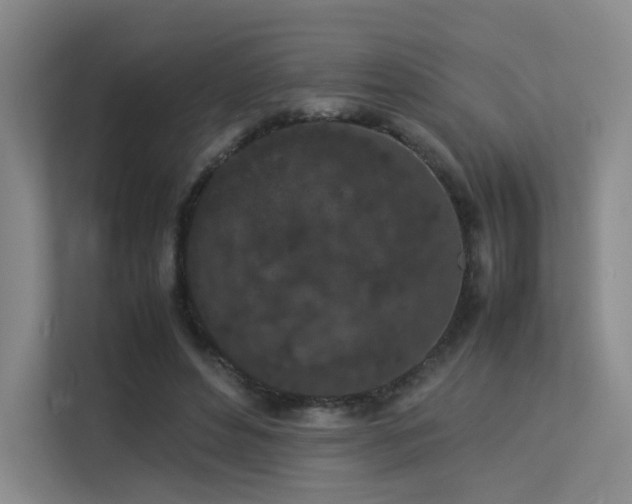 X0000113240496200909101411