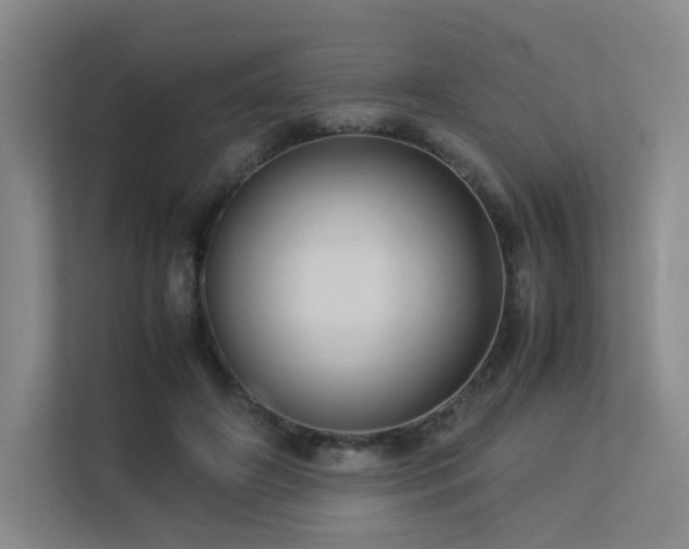 X0000113240498200909101411