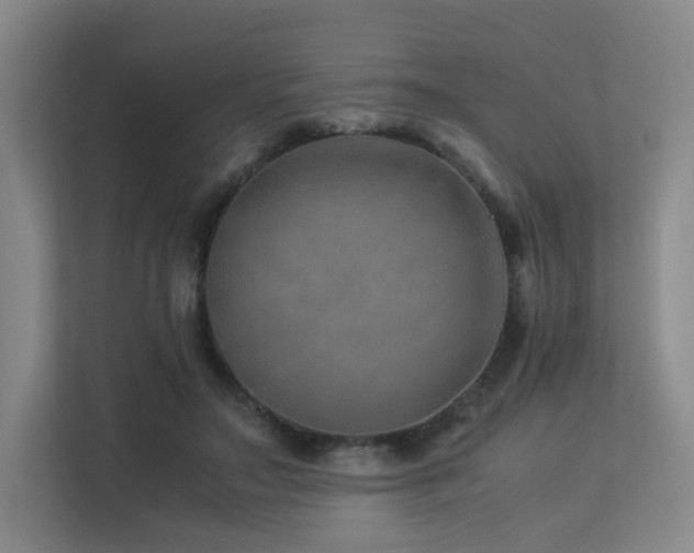 X0000113240499200909101411