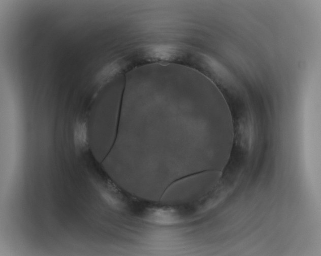 X0000113240500200909101411