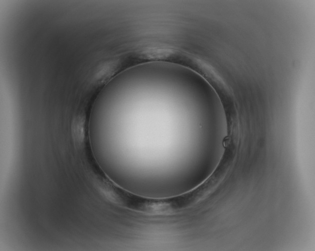 X0000113240501200909101411