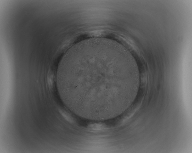 X0000113240503200909101411