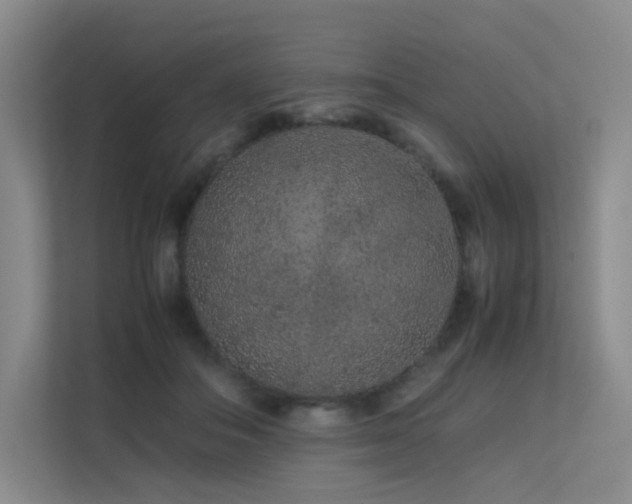 X0000113240506200909101411