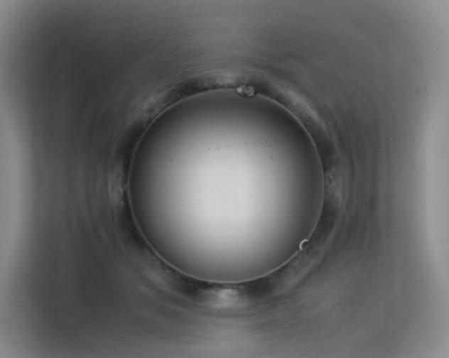 X0000113240509200909101411