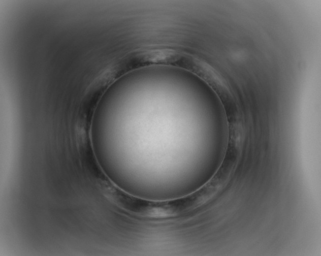 X0000113240510200909101411