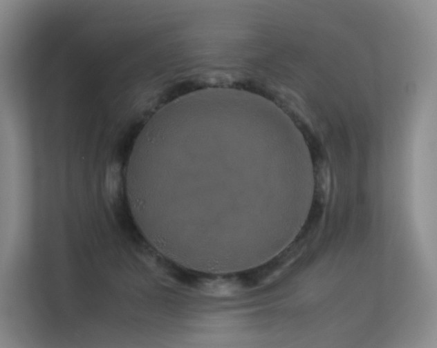 X0000113240511200909101411